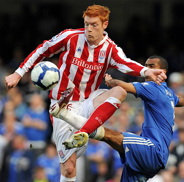 們提供了一 們提供了一